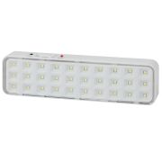 Светильник светодиодный DBA-102-0-20 30LED 5ч IP20 выход аварийный непостоянный Эра Б0044395