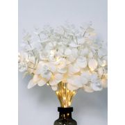 Ветвь эвкалипта имитация бел. 16LED тепл. бел. 3АА (не в компл.) КОСМОС KOC_INT-B125