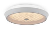 Потолочный светильник Freya FR10012CL-L24W