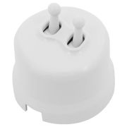 Кнопка (двухтумблерная), пластик, цвет Белый B1-232-21-PB