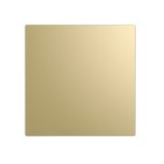 Панель декоративная AEON D100/125 175х175 пластик Champagne DICITI