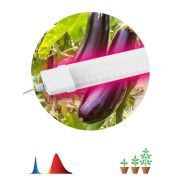 Светильник для растений FITO-36W-RB-N 36Вт 220-240В IP65 проф. спектр для периода вегетации прозр. рассеив. ЭРА Б0045697