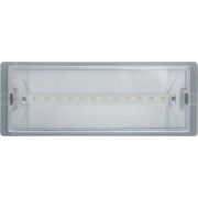 Светильник светодиодный 95 290 NEF-19 6Вт IP65 100лм 220-240В аккум. LiFePO4 600mAh аварийно-эвакуационный Navigator 95290