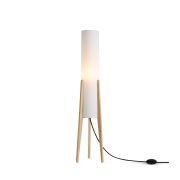 Напольный светильник (торшер) Freya FR5543FL-01T