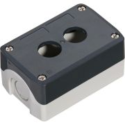 Пост кнопочный 2 отверстия сер. SE SALD02