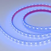 Лента светодиодная RTW-PFS-B60-13mm 12V Blue 14.4Вт/м IP68 5060 герметичная (уп.5м) Arlight 036280