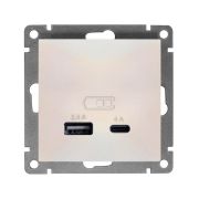 Розетка 2-м USB СП Афина тип А+С 5В 1х2.4А 2х4А механизм жемчуж. Universal А0059-OBr