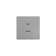 Розетка Type-C+ USB разъем СП ZIMA IP20 сер. матов. LEZARD 704-7488-192TC