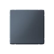 Выключатель кнопочный 1-кл. ArtGallery быстрозажим. клем. механизм грифель SE GAL000715S