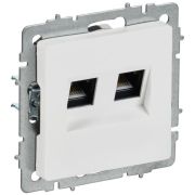 Розетка компьютерная 2-м СП BRITE РК11-2-БрАБ RJ45 кат.6 механизм арктич. бел. IEK BR-K20-2-K91